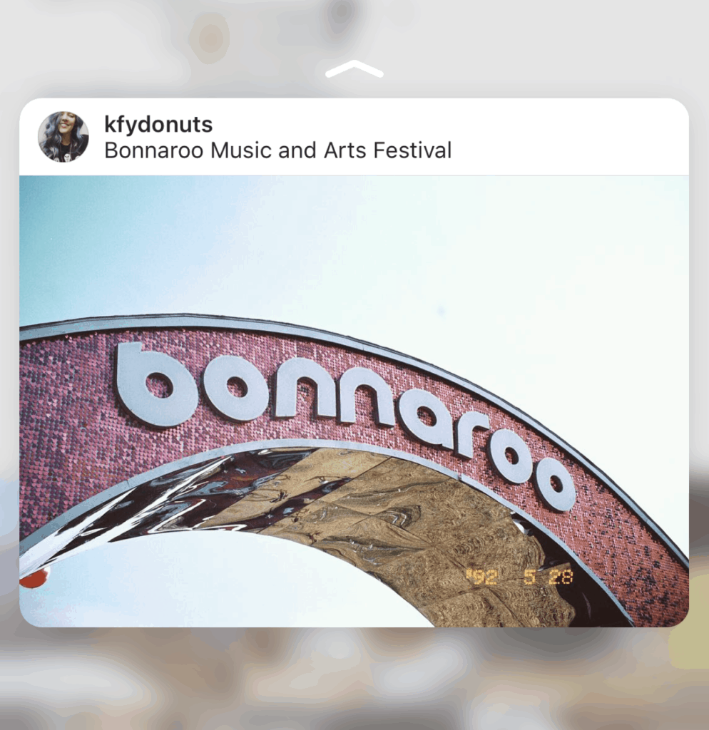 Learn all about Bonnaroo!